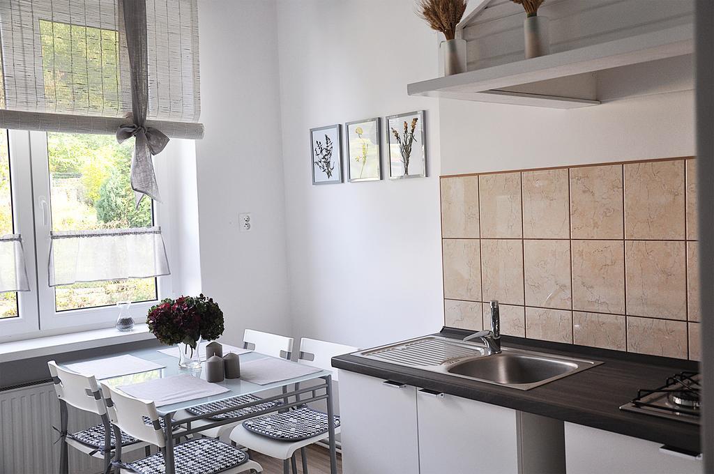 Apartament Rosa Jelenia Góra Zewnętrze zdjęcie